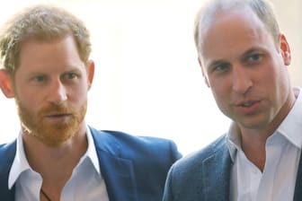 Prinz Harry und Prinz William: Die beiden haben in früheren Urlauben den Müll anderer Leute aufgesammelt.