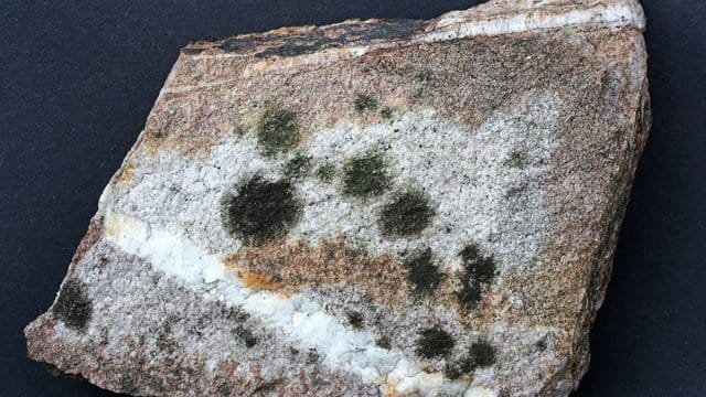 Die bisher unbekannte Flechte Verrucaria hunsrueckensis, auf Deutsch Hunsrück-Warzenflechte. Die bisher unbekannte Flechte Verrucaria hunsrueckensis, auf Deutsch Hunsrück-Warzenflechte.