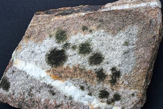 Die bisher unbekannte Flechte Verrucaria hunsrueckensis, auf Deutsch Hunsrück-Warzenflechte.