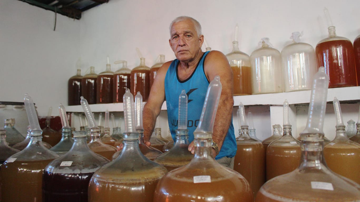 Kubanischer Wein: Orestes Estevez ist davon überzeugt, dass sich die Qualität seines Alkohols durch die Kondome verbessert hat.