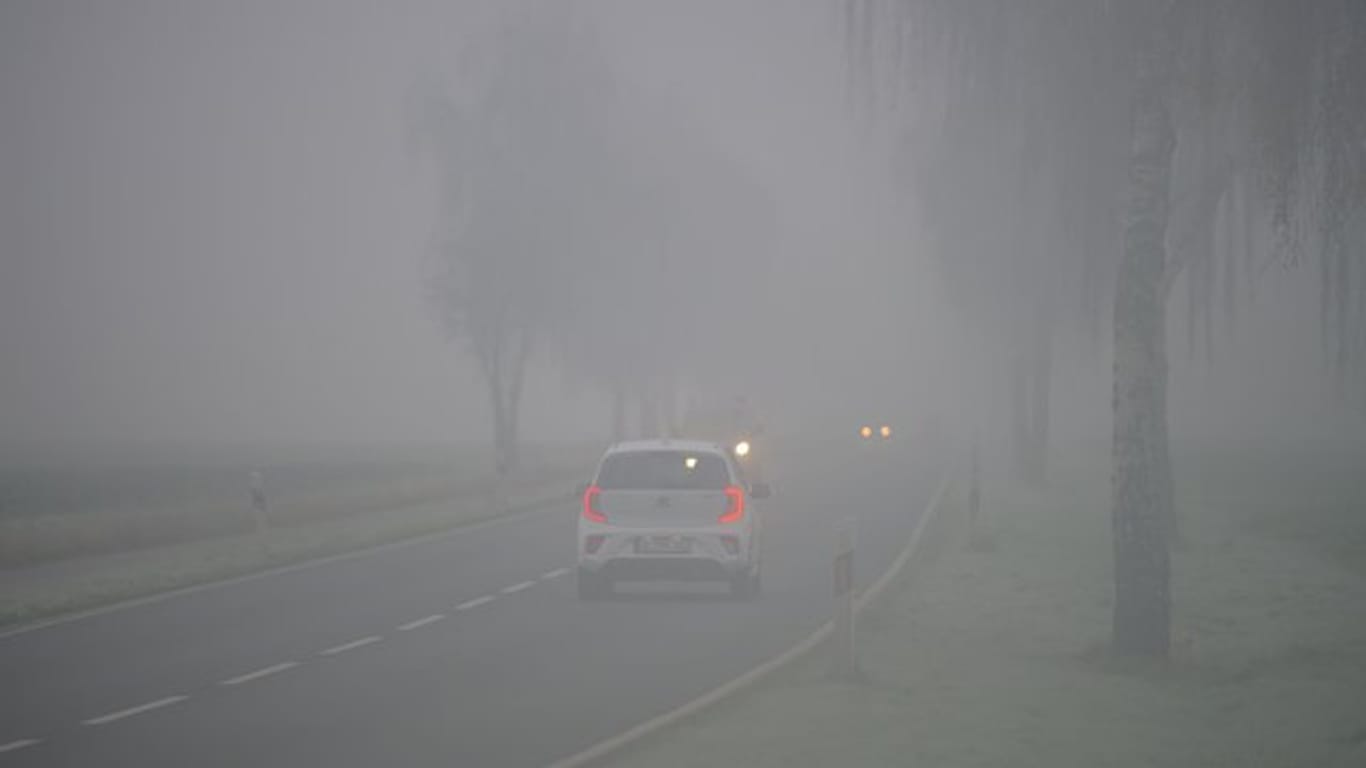 Nebel beeinträchtigt immer die Sicht der Autofahrer.