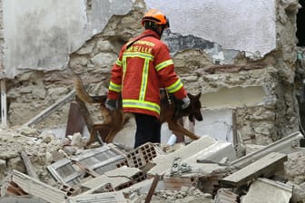 Ein Feuerwehrmann sucht mit einem Spürhund nach Überlebenden: In Marseille sind zwei Häuser eingestürzt. Bisher wurden fünf Tote gebogen.