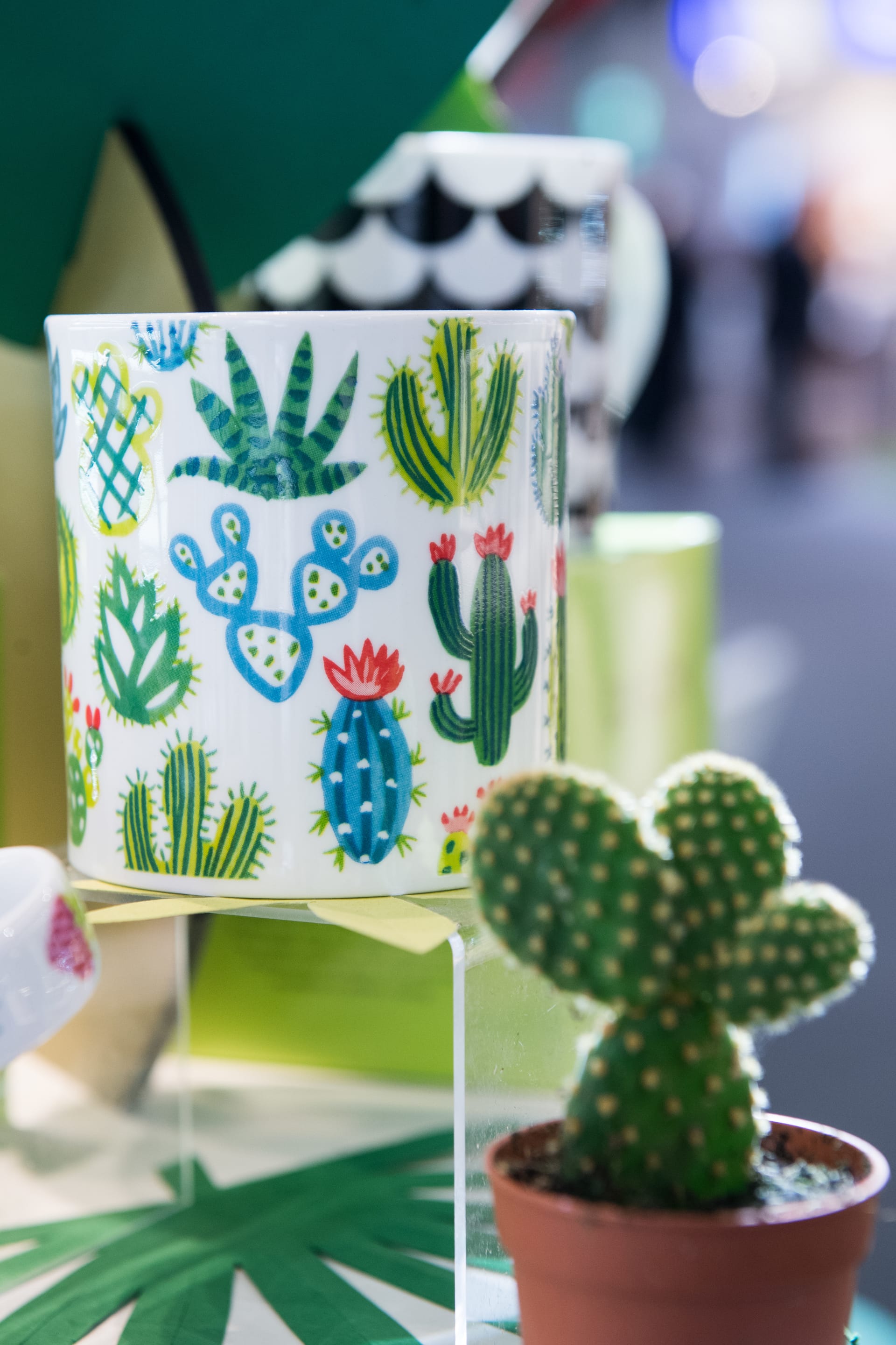 Mehr als nur eine Zimmerpflanze: Der Kaktus ist aktuell ein beliebtes Motiv für vielerlei Produkte.