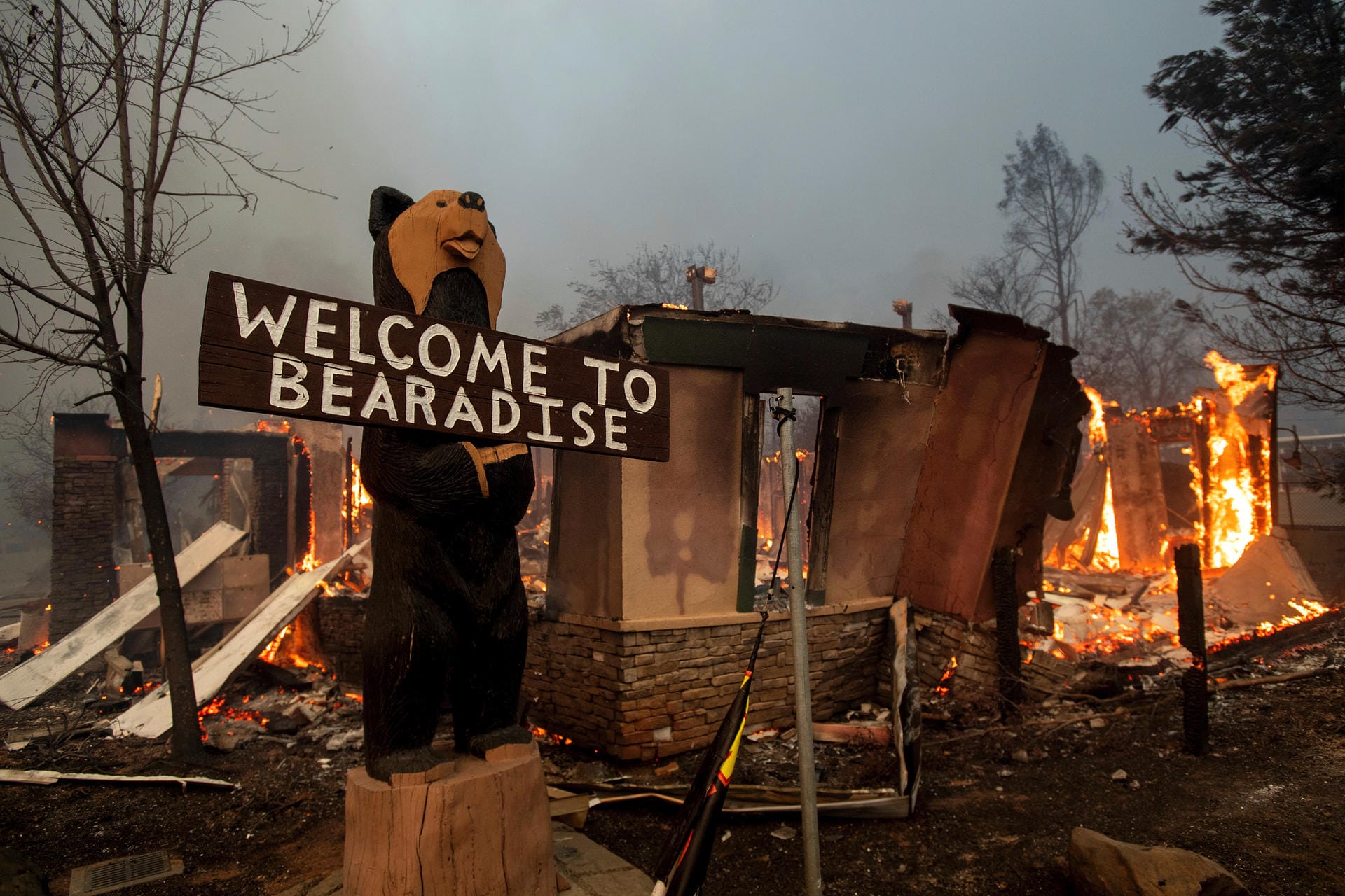 "Welcome to Bearadise": Die Stadt Paradise wurde von den Flammen überrollt und großflächig zerstört.