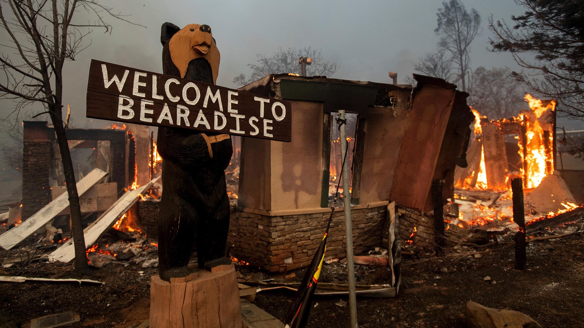 "Welcome to Bearadise": Die Stadt Paradise wurde von den Flammen überrollt und großflächig zerstört.