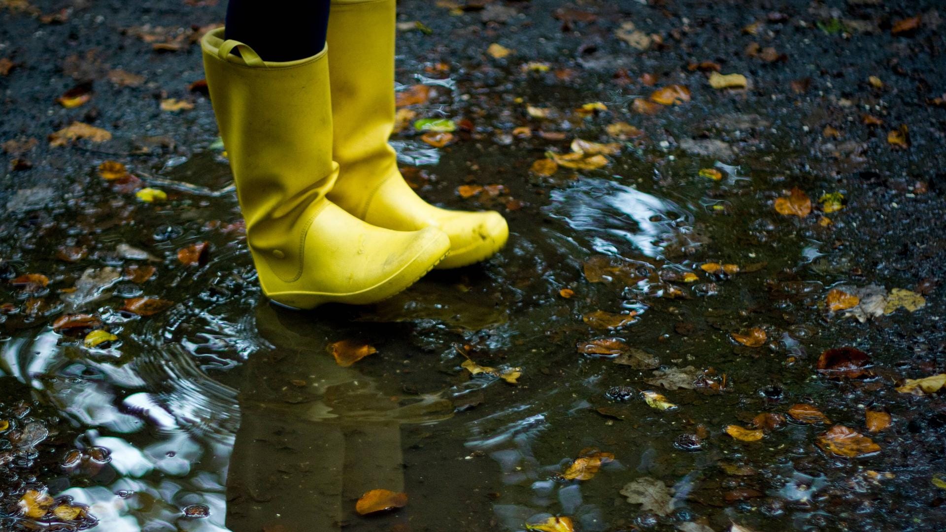 Gummistiefel werden in den kommenden Tagen nützlich sein: Tief "Zarmina" bringt viel Regen. Gummistiefel werden in den kommenden Tagen nützlich sein: Tief "Zarmina" bringt viel Regen.