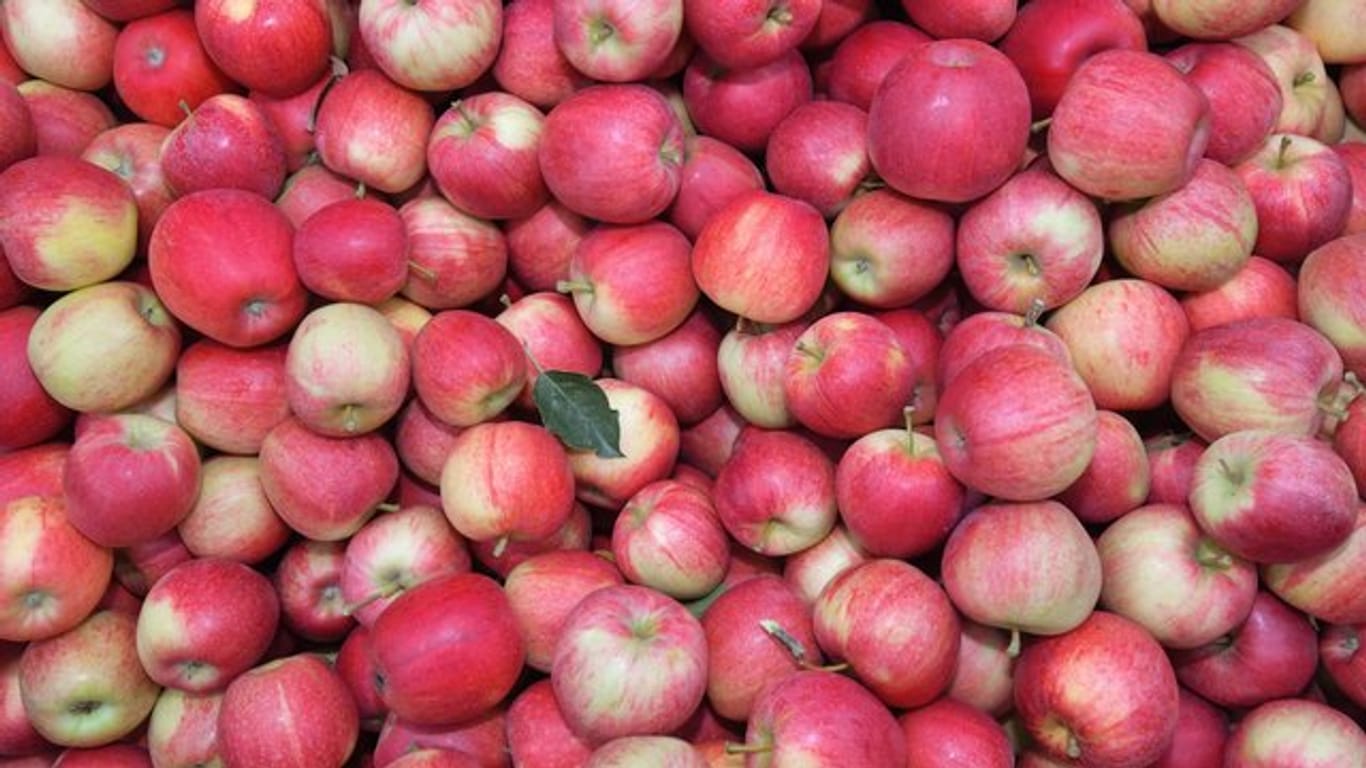 Äpfel der Sorte Gala: Manche Menschen reagieren auf Äpfel allergisch.