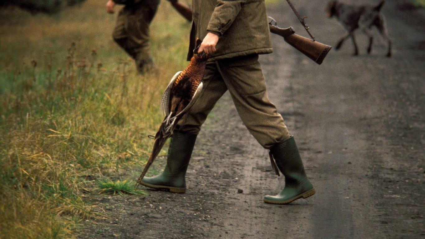 Jäger mit erlegtem Fasan bei der Hubertusjagd (Symbolbild): Immer mehr Menschen in der Slowakei gehen in ihrer Freizeit jagen – gleichzeitig häuft sich die Zahl der tödlichen Jagdunfälle.