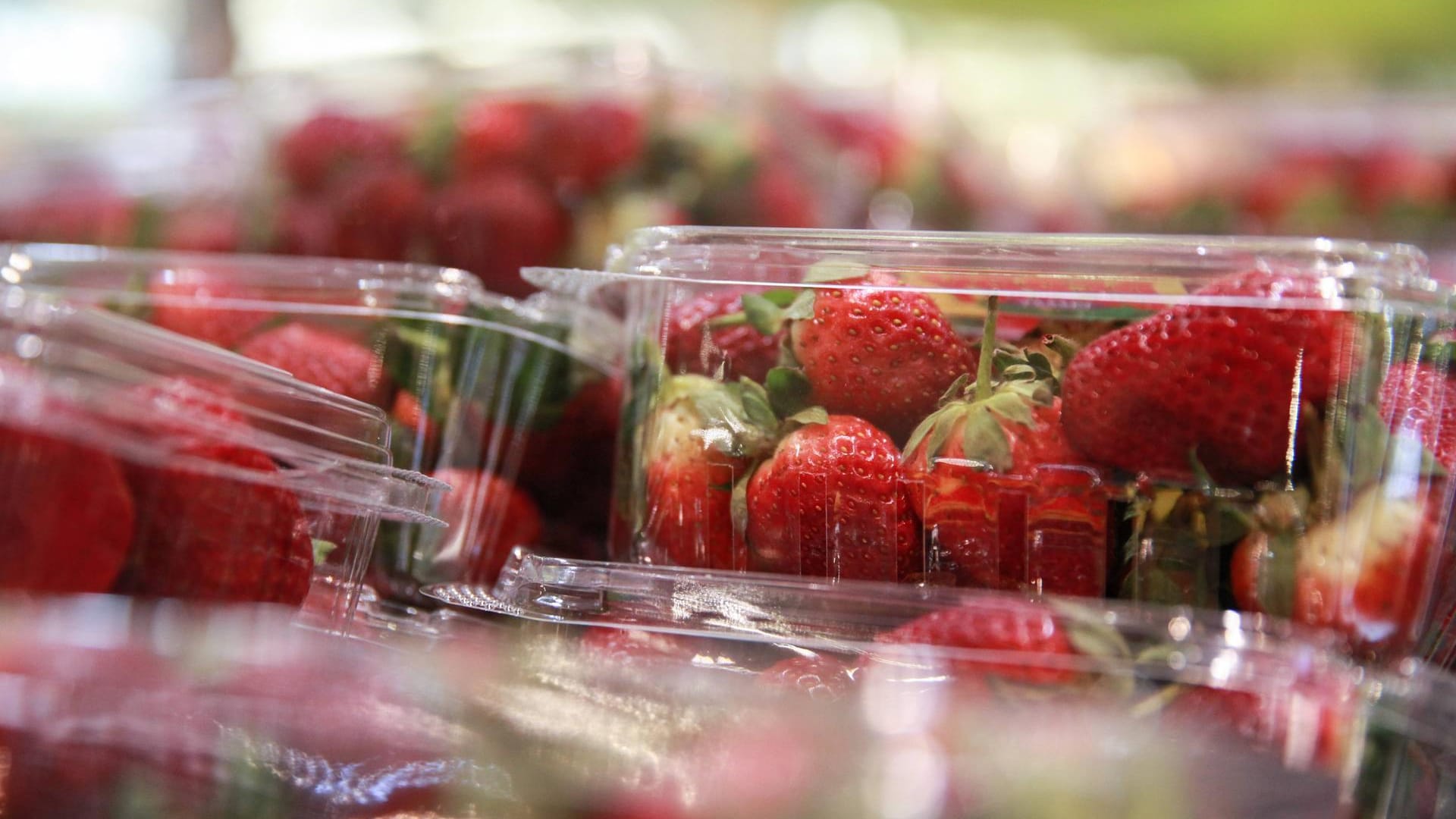 Erdbeeren in einem Supermarkt in Sydney (Archivbild): Die Tat hat so viele Nachahmer gefunden, dass selbst im Nachbarland Neuseeland Nadeln in Erdbeeren gefunden wurden.