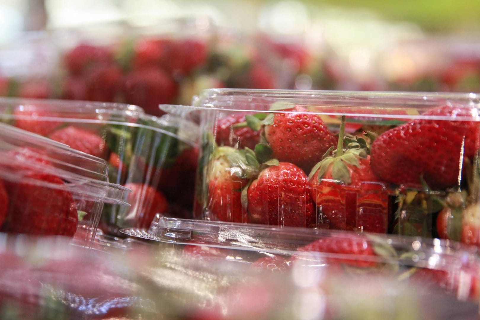 Erdbeeren in einem Supermarkt in Sydney (Archivbild): Die Tat hat so viele Nachahmer gefunden, dass selbst im Nachbarland Neuseeland Nadeln in Erdbeeren gefunden wurden.
