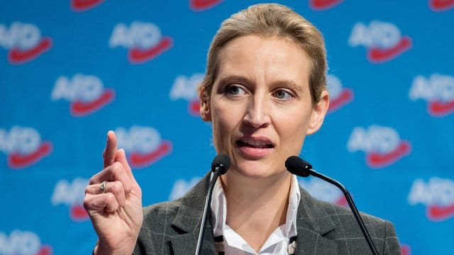 Eine Großspende bringt die AfD in Erklärungsnot. Eine Großspende bringt die AfD in Erklärungsnot.