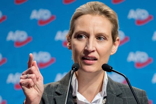 Eine Großspende bringt die AfD in Erklärungsnot.