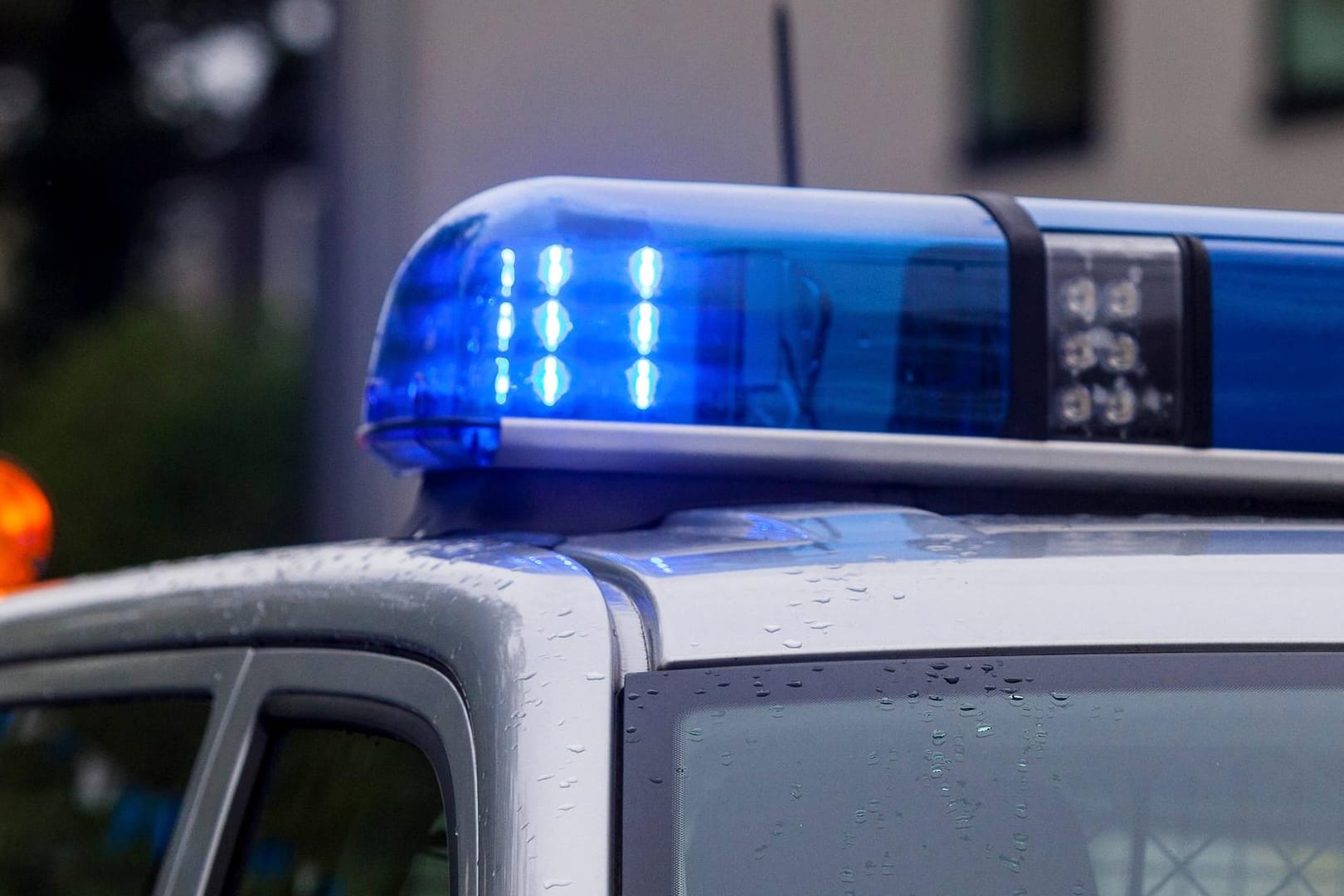 Blaulicht auf dem Dach eines Polizeiwagens: Es ist nicht bekannt, wie viel der gestohlene Stein wert war. (Symbolbild)