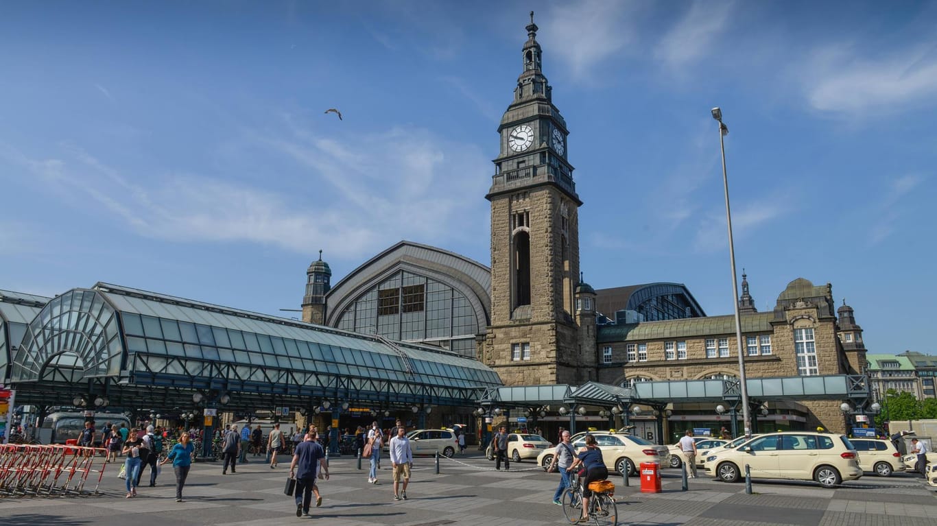 Der Hauptbahnhof in Hamburg: Die Polizei griff den Mann im Zug von Hamburg nach Lüneburg auf. (Archivbild)