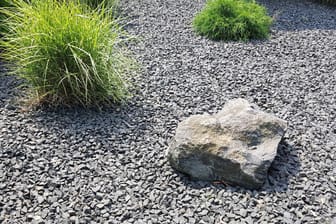 Der Umwelt zuliebe wollen die Hagener Grünen in Bebauungsplänen Schotter-Gärten verbieten. Die Flächen sollen stattdessen bepflanzt werden. (Symbolfoto)