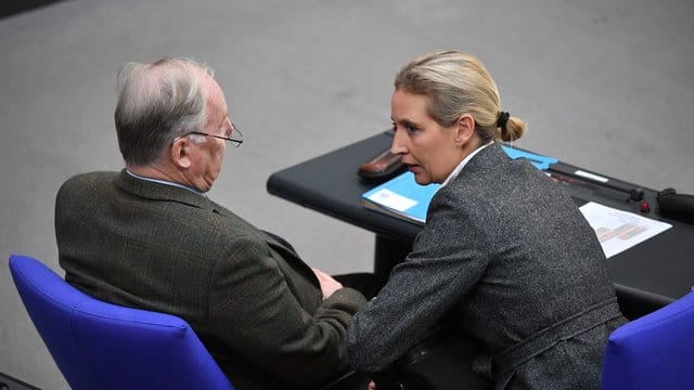 Die AfD-Fraktionschefs Alexander Gauland und Alice Weidel bei einem Gespräch Mitte Oktober im Bundestag.