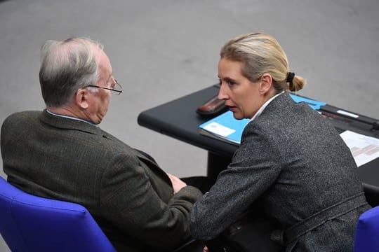 Die AfD-Fraktionschefs Alexander Gauland und Alice Weidel bei einem Gespräch Mitte Oktober im Bundestag.