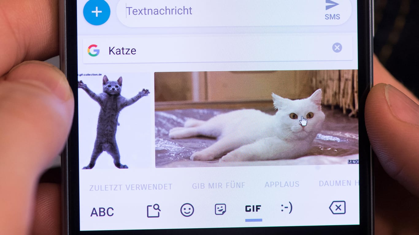 Die Google-Tastatur schlägt Katzen-GIFS zum passenden Stichwort vor: Für den Service ist keine Internetverbindung nötig. (Archivbild)