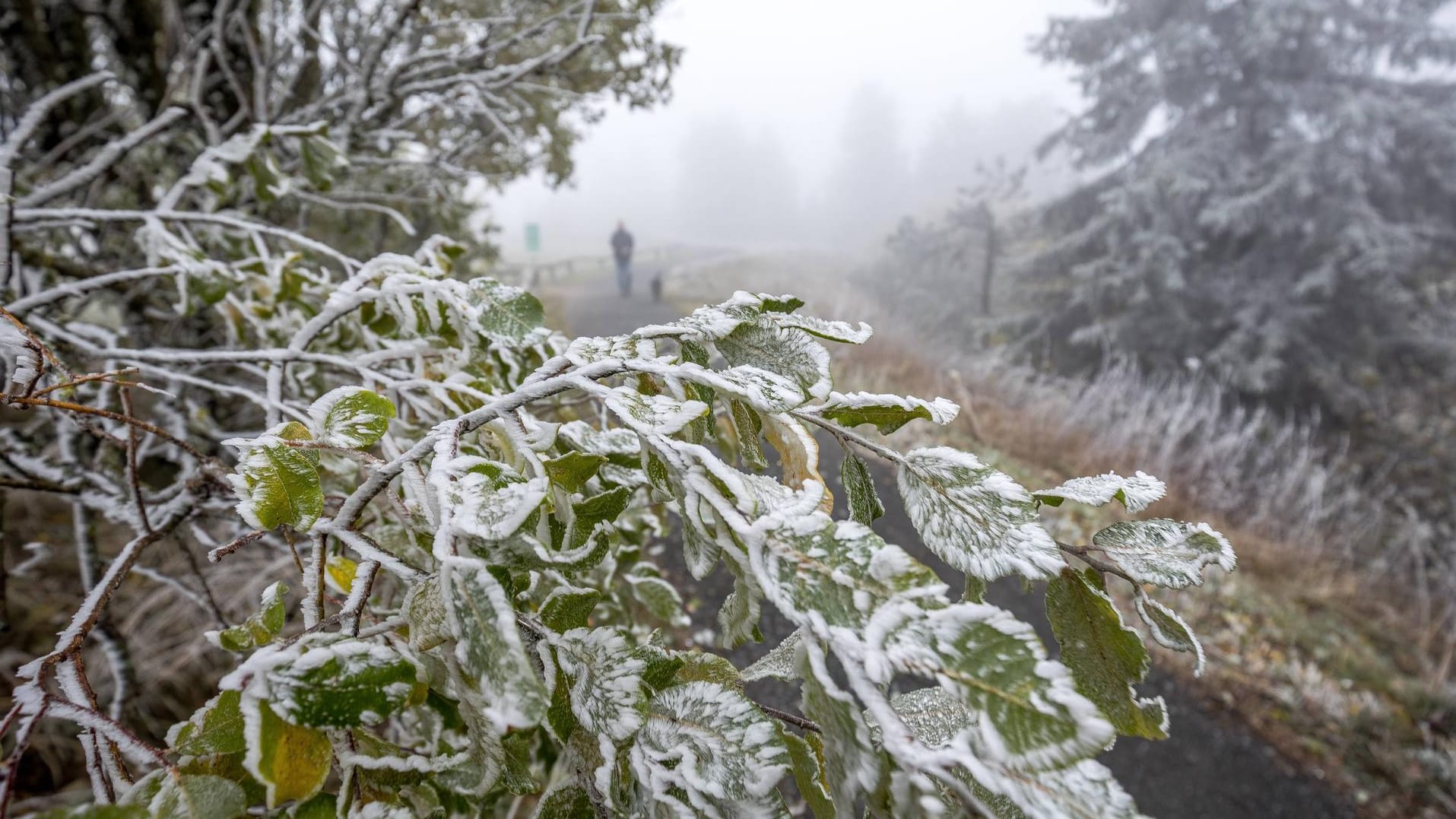 Ein Hauch von Winter im Hochtaunus: Nach dem Regen am Dienstag wird es den Rest der Woche wieder sonnig – aber auch kalt.