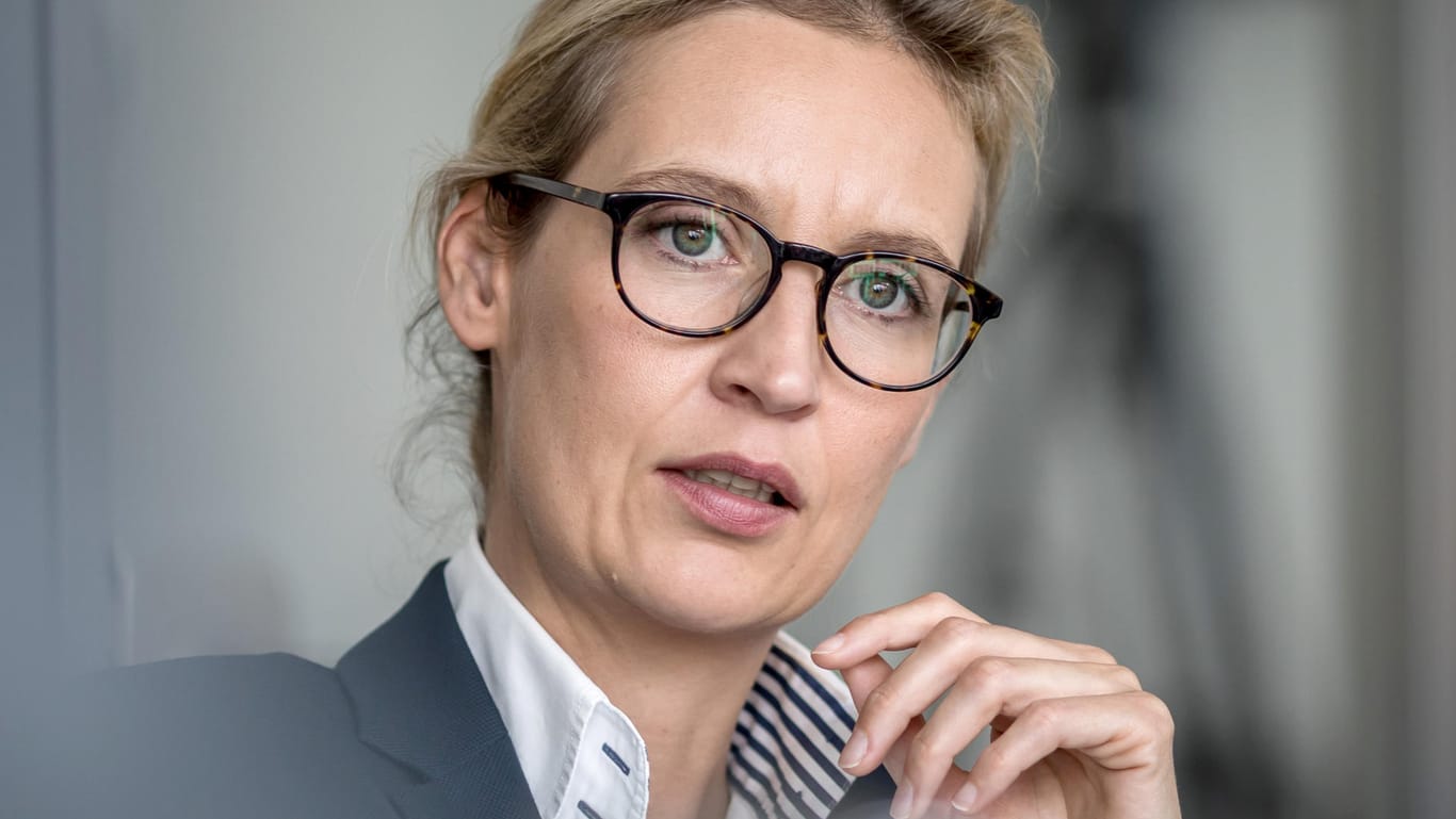 AfD-Fraktionschefin Alice Weidel: Will nicht die Empfängerin der ominösen Wahlkampfspende aus der Schweiz sein.