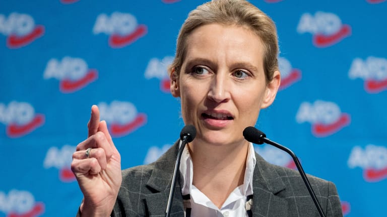 Alice Weidel: Vor der Bundestagswahl erhielt die Spitzenkandidatin der AfD wohl eine Großspende aus der Schweiz