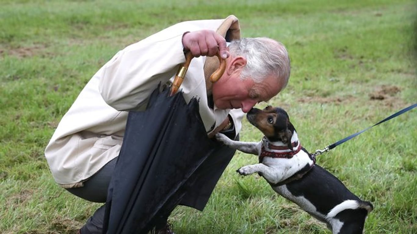 Prinz Charles: Ein Tierfreund wird 70.