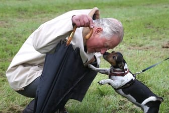 Prinz Charles: Ein Tierfreund wird 70.