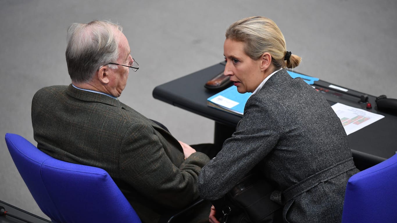 Alexander Gauland, Alice Weidel im Bundestag.