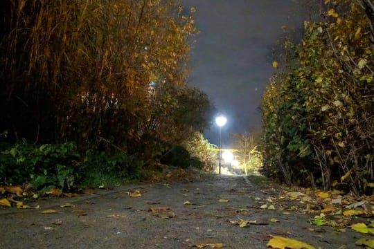 Weg bei Nacht mit "Nachtsicht"-Modus.