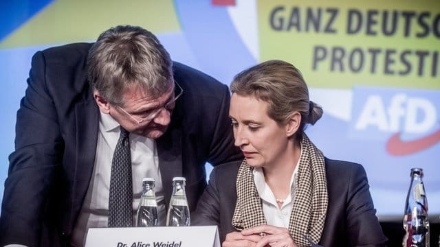 Bislang genießt sie Rückendeckung: Jörg Meuthen, Co-Bundessprecher der AfD, spricht mit Fraktionschefin Alice Weidel. Bislang genießt sie Rückendeckung: Jörg Meuthen, Co-Bundessprecher der AfD, spricht mit Fraktionschefin Alice Weidel.
