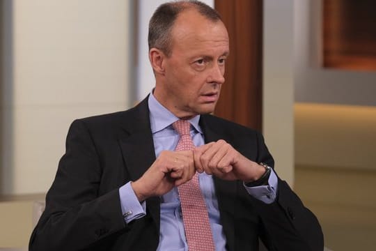 Friedrich Merz in der Sendung "Anne Will" zum Thema "Das gespaltene Land - wer sorgt für Zusammenhalt?".