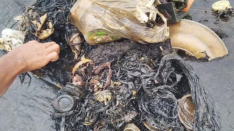 Die Plastikteile, die der Wal im Bauch trug: 115 Plastikbecher, 25 Plastiktüten und mehr als 1.000 weitere Teile aus Kunststoff wurden in dem Tier gefunden.