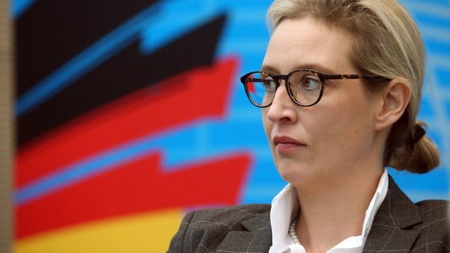 Rund 130 000 Euro in kleinen Teilen, bestimmt für Alice Weidel, kurz vor der Bundestagswahl 2017: Die AfD gerät dubioser Großspenden aus dem Ausland heftig unter Druck. Rund 130 000 Euro in kleinen Teilen, bestimmt für Alice Weidel, kurz vor der Bundestagswahl 2017: Die AfD gerät dubioser Großspenden aus dem Ausland heftig unter Druck.