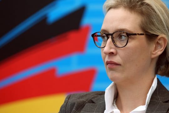 Rund 130 000 Euro in kleinen Teilen, bestimmt für Alice Weidel, kurz vor der Bundestagswahl 2017: Die AfD gerät dubioser Großspenden aus dem Ausland heftig unter Druck.