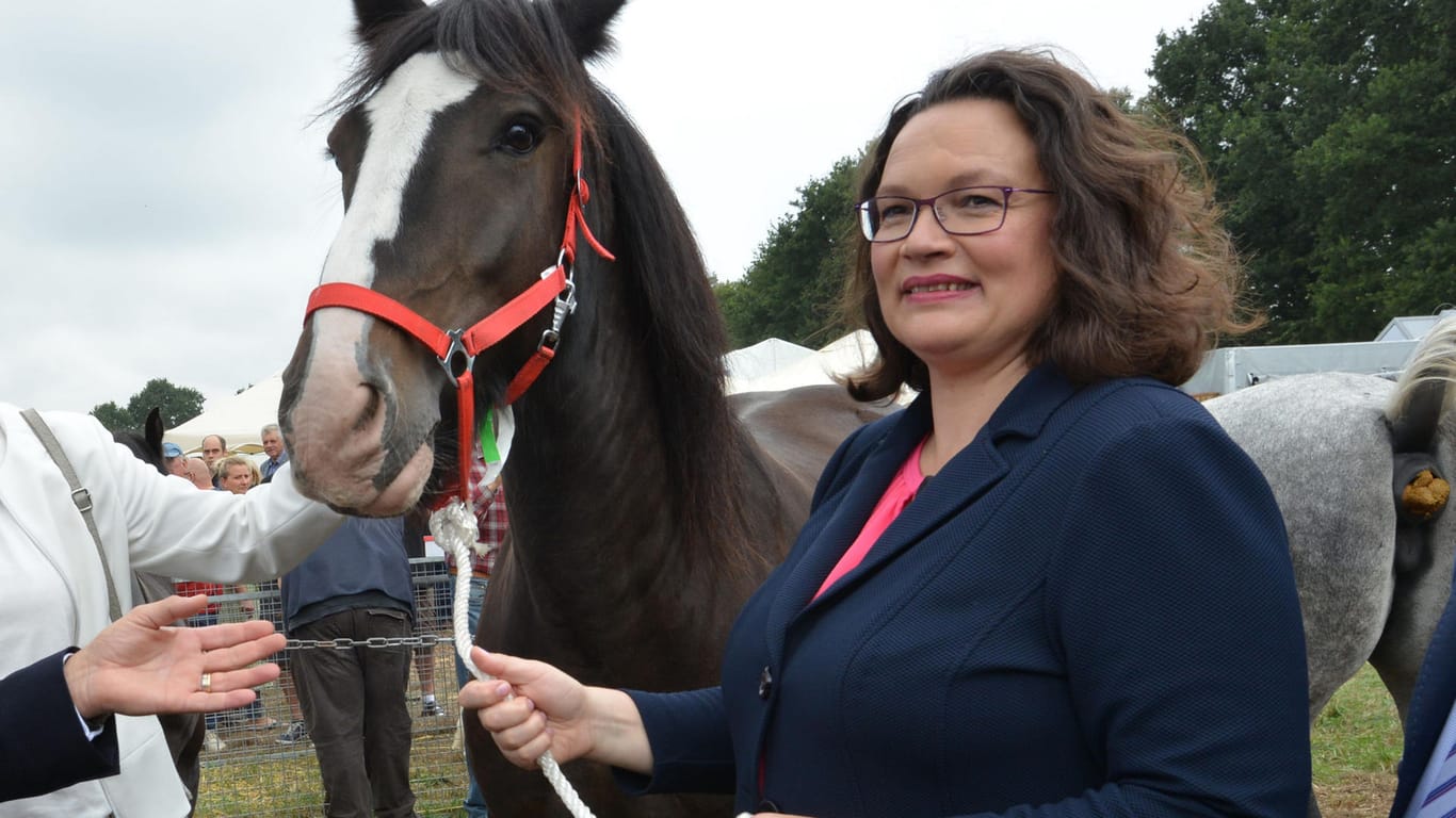 Pferdenärrin Andrea Nahles: "Ich liebe einen Ausritt in der Herbstlandschaft. Da bekomme ich den Kopf frei."