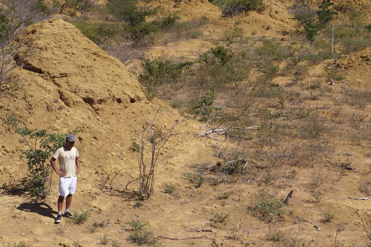 Ein Mann steht an Abraumhalden in Brasilien: Das Gebiet liegt versteckt im Buschwerk der Caatinga-Landschaft und wird von Termiten bewohnt.
