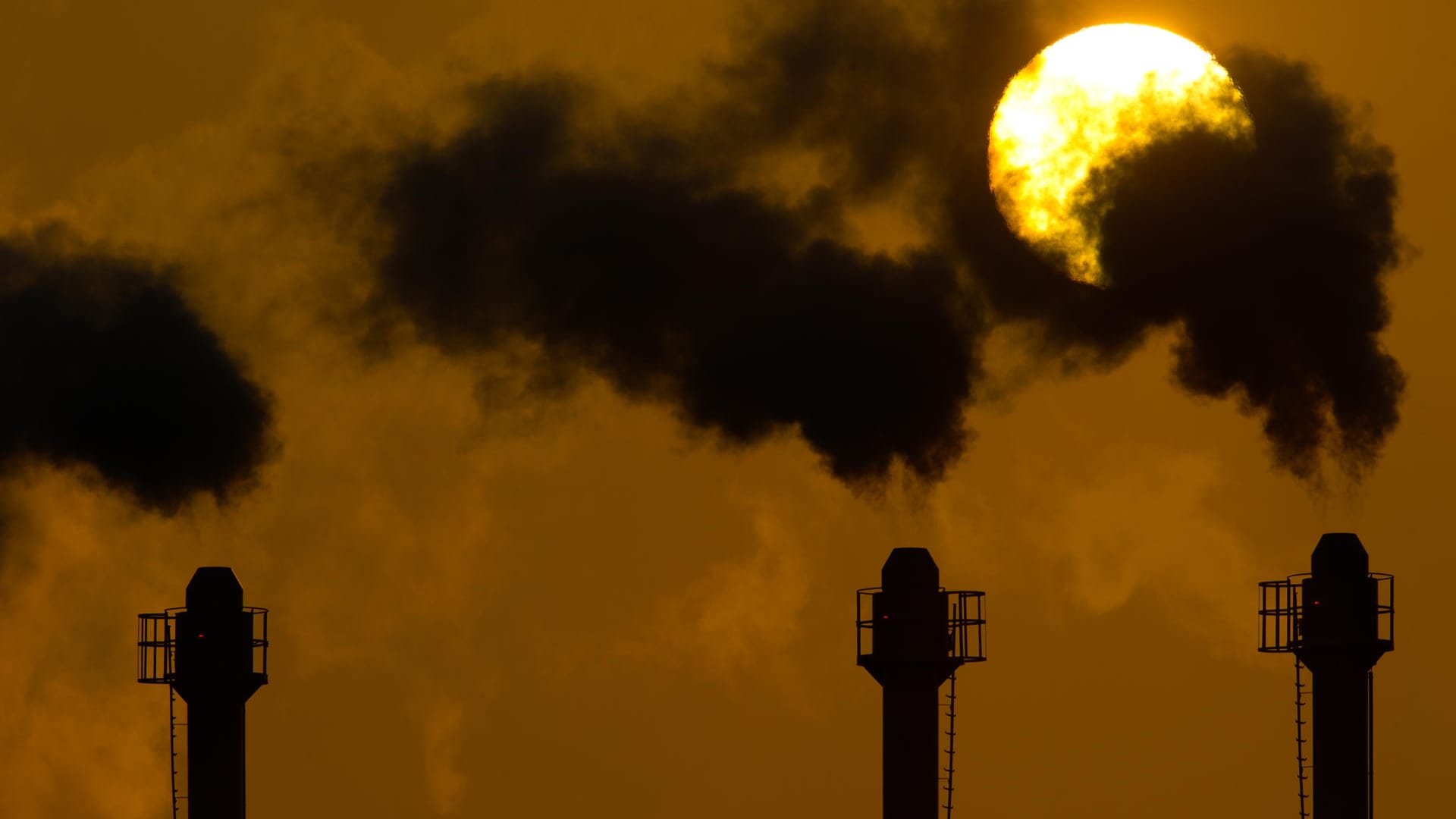 Die Schornsteine eines Blockheizkraftwerkes in Schönefeld bei Berlin: Die Konzentration der klimaschädlichen Treibhausgase in der Atmosphäre ist nach Messungen von Klimaforschern so hoch wie seit Millionen Jahren nicht.