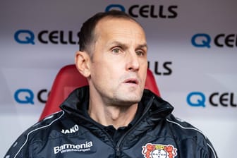 Bayer-Trainer Heiko Herrlich.
