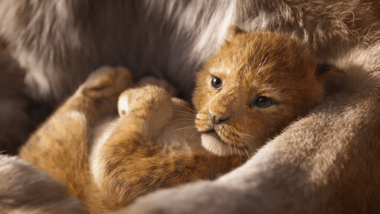 Der Trailer zum neuen "König der Löwen"-Film