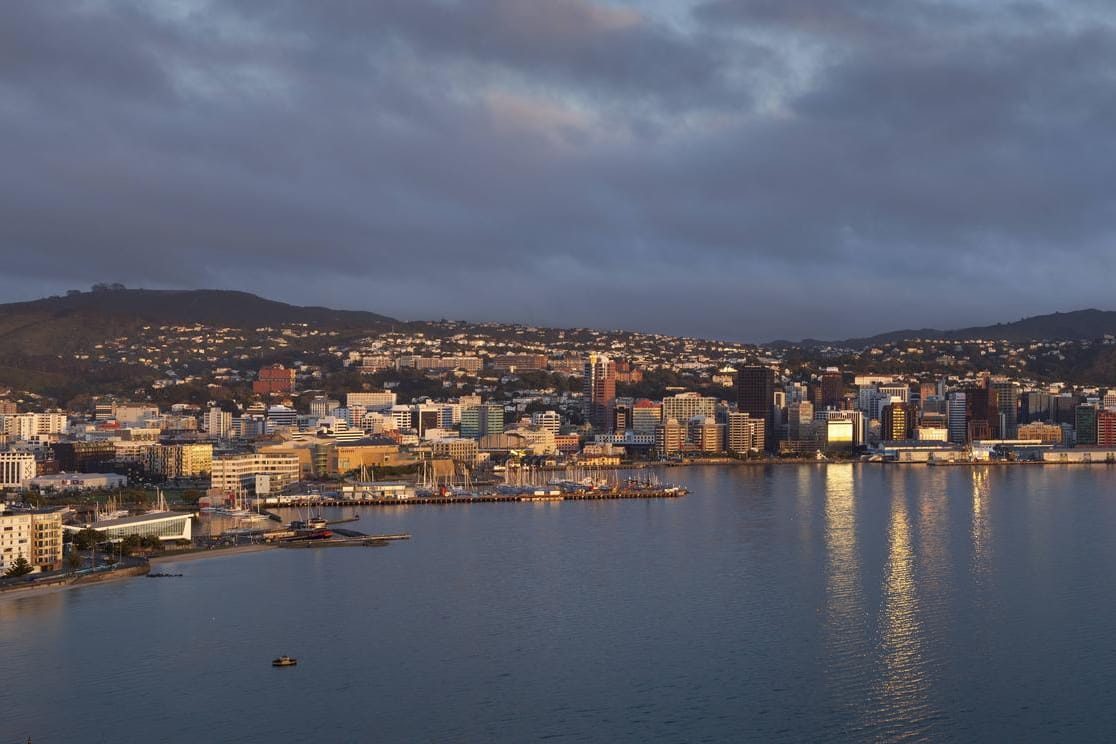 Panoramaansicht der neuseeländischen Hauptstadt Wellington: Erdbeben stellen in Neuseeland keine Seltenheit dar.
