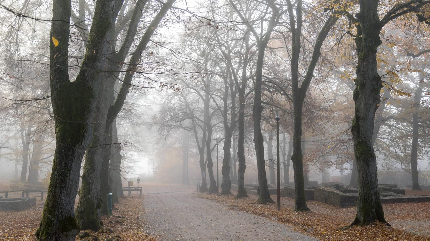 Herbstwetter in Hessen: Die letzte Novemberwoche wird sehr trüb.