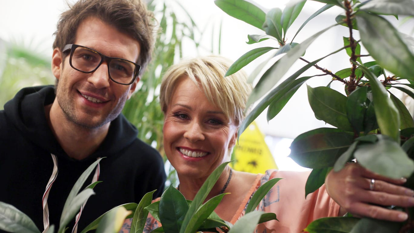 Sonja Zietlow und Daniel Hartwich: Sie moderierten das Dschungelcamp.