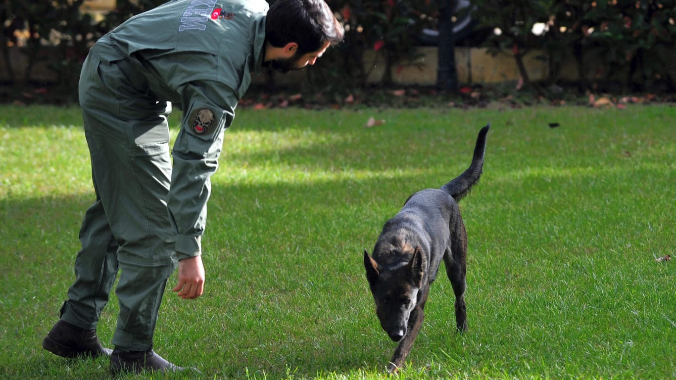 Spürhunde suchen in Istanbul im Garten einer Villa nach der Leiche von dem Journalisten Khashoggi.