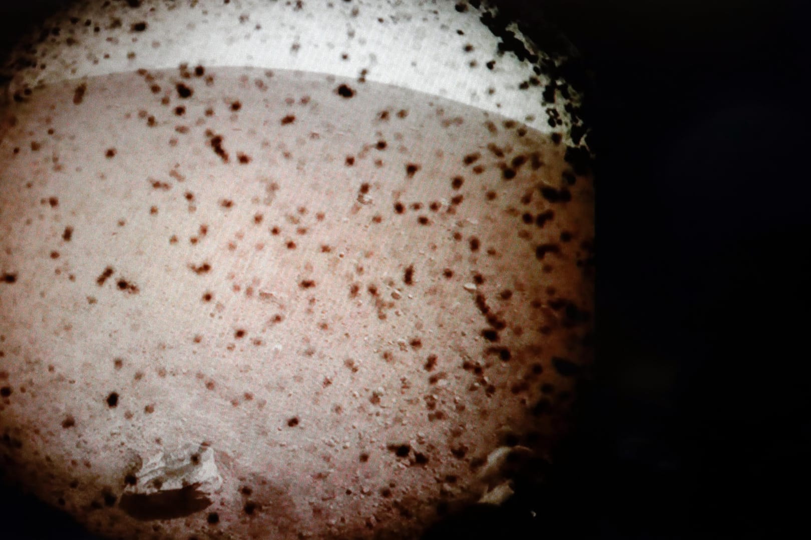 Foto von Mars: Schon kurz nach der Landung schickte die Sonde am Montag ihr erstes Foto vom Roten Planeten aus.