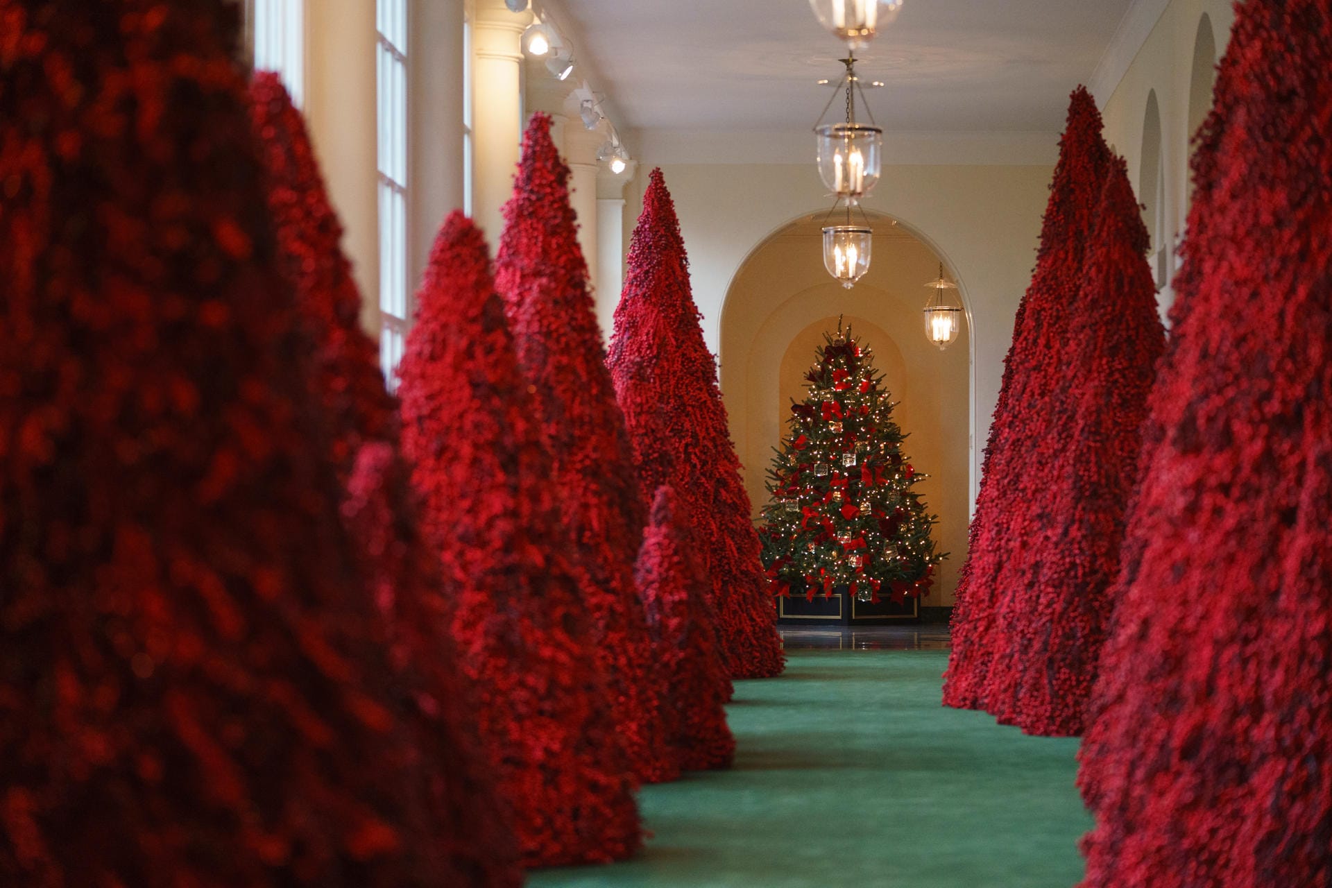 Rote Tannenbäume säumen einen Gang im Weißen Haus: Rot dominiert die diesjährige Dekoration im Weißen Haus.