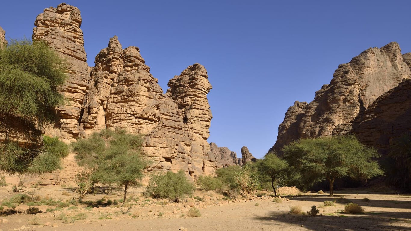Trockene Landschaft in Algerien: In dem nordafrikanischen Land sind uralte Steinwerkzeuge entdeckt worden.