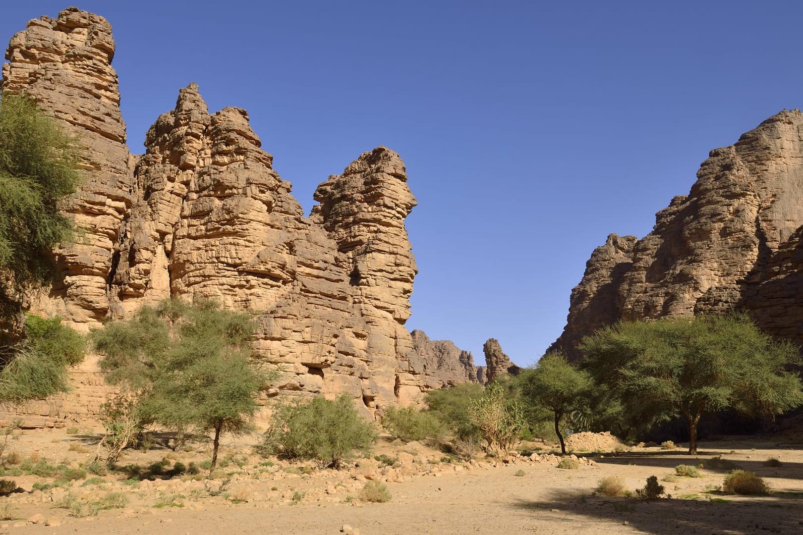 Trockene Landschaft in Algerien: In dem nordafrikanischen Land sind uralte Steinwerkzeuge entdeckt worden.