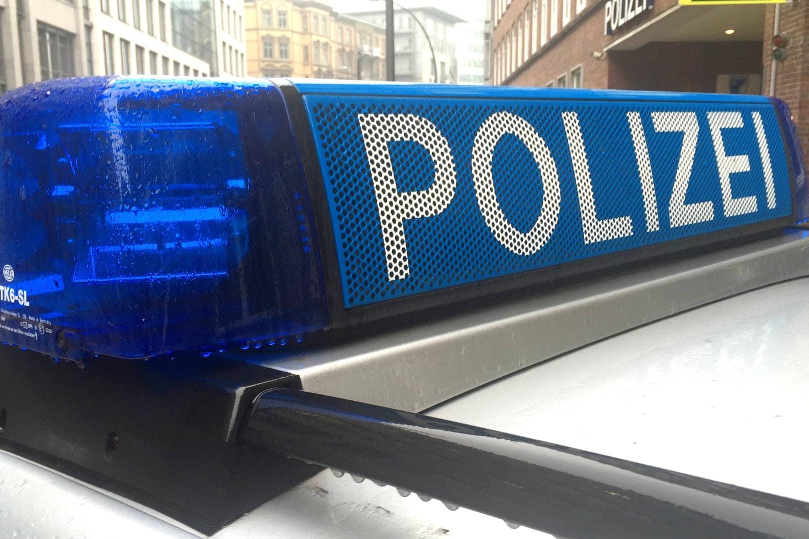 Anzeige eines Polizeiautos: Eine Polizeistreife konnte den Mann später festnehmen. Das Beil fanden die Beamten in einem Pflanzenrondell.