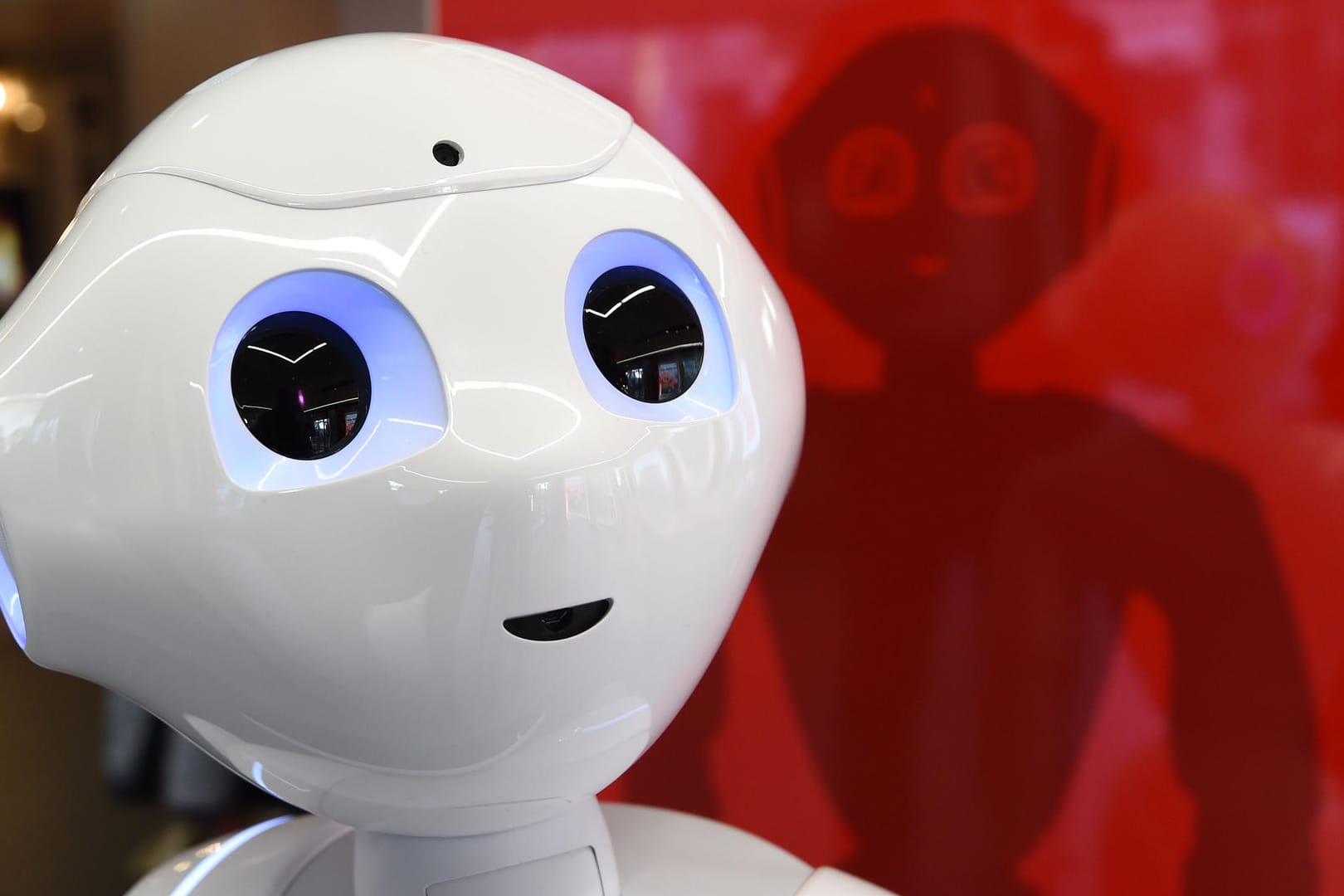 Roboter "Luna Pepper": Deutschland will einer der führenden Standorte in Forschung und Anwendung werden.