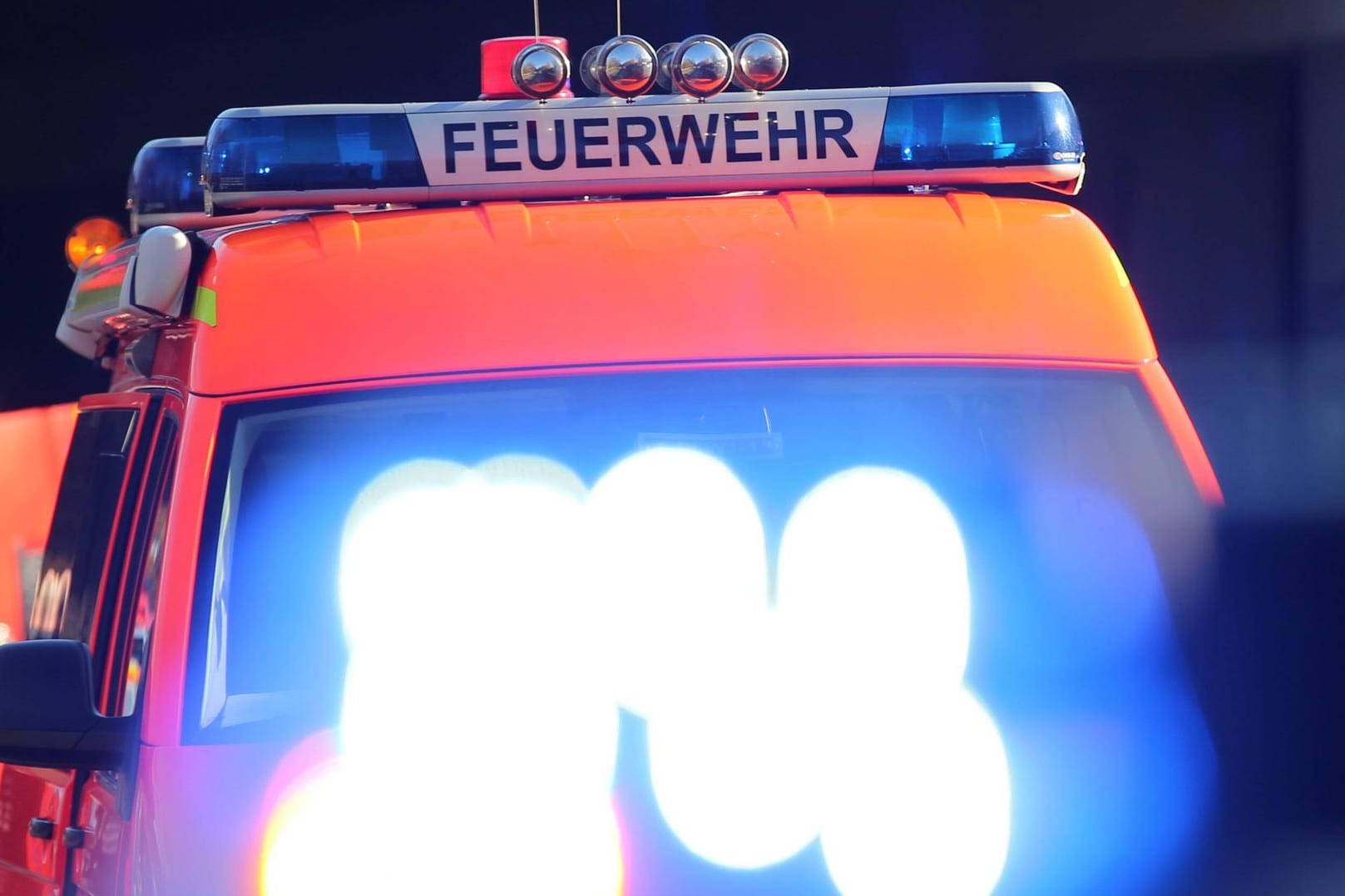 Blaulicht auf einem Einsatzfahrzeug der Feuerwehr: Als die Einsatzkräfte ankamen, brannte bereits das gesamte Haus. (Symbolbild)